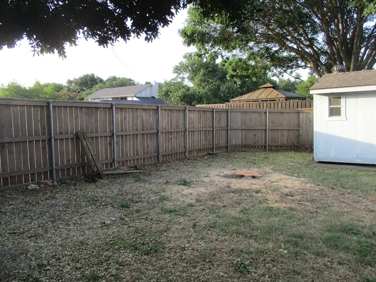 Cleared yard after professional tree removal in Thorsby