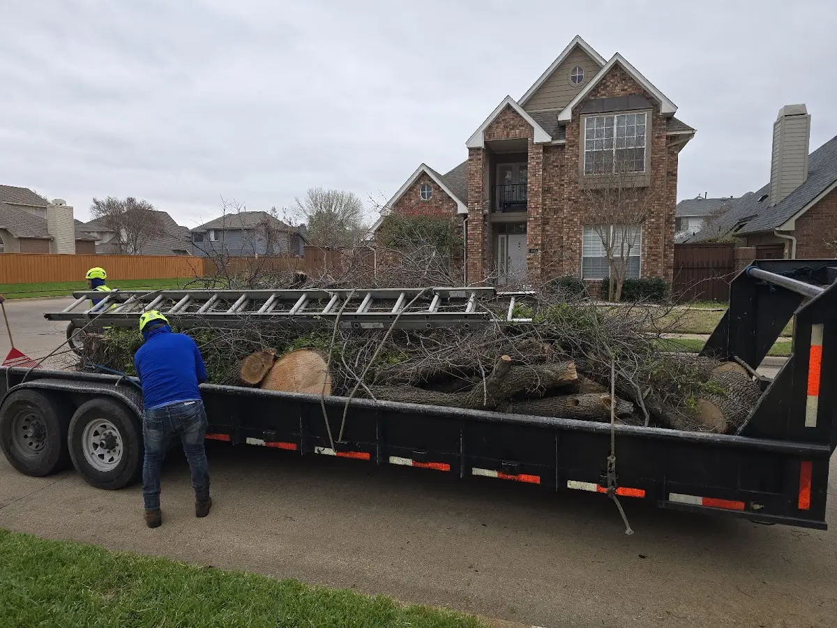 Expert Tree Removal with proper safety equipment in Thorsby
